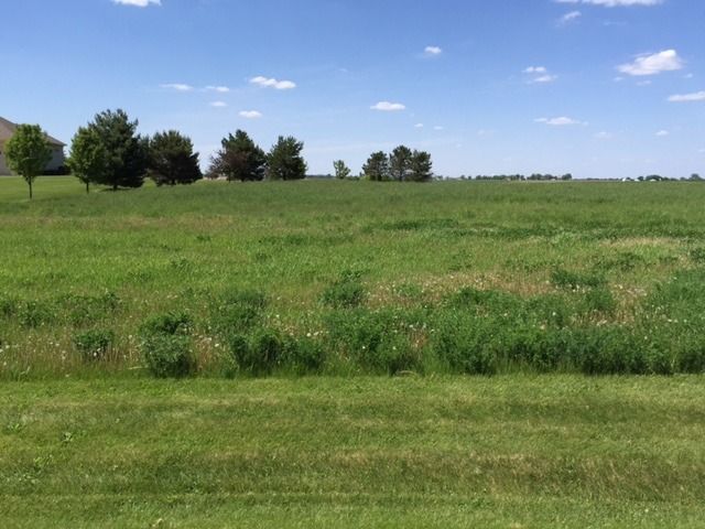 17402 Wildflower Circle — Union, IL 60180