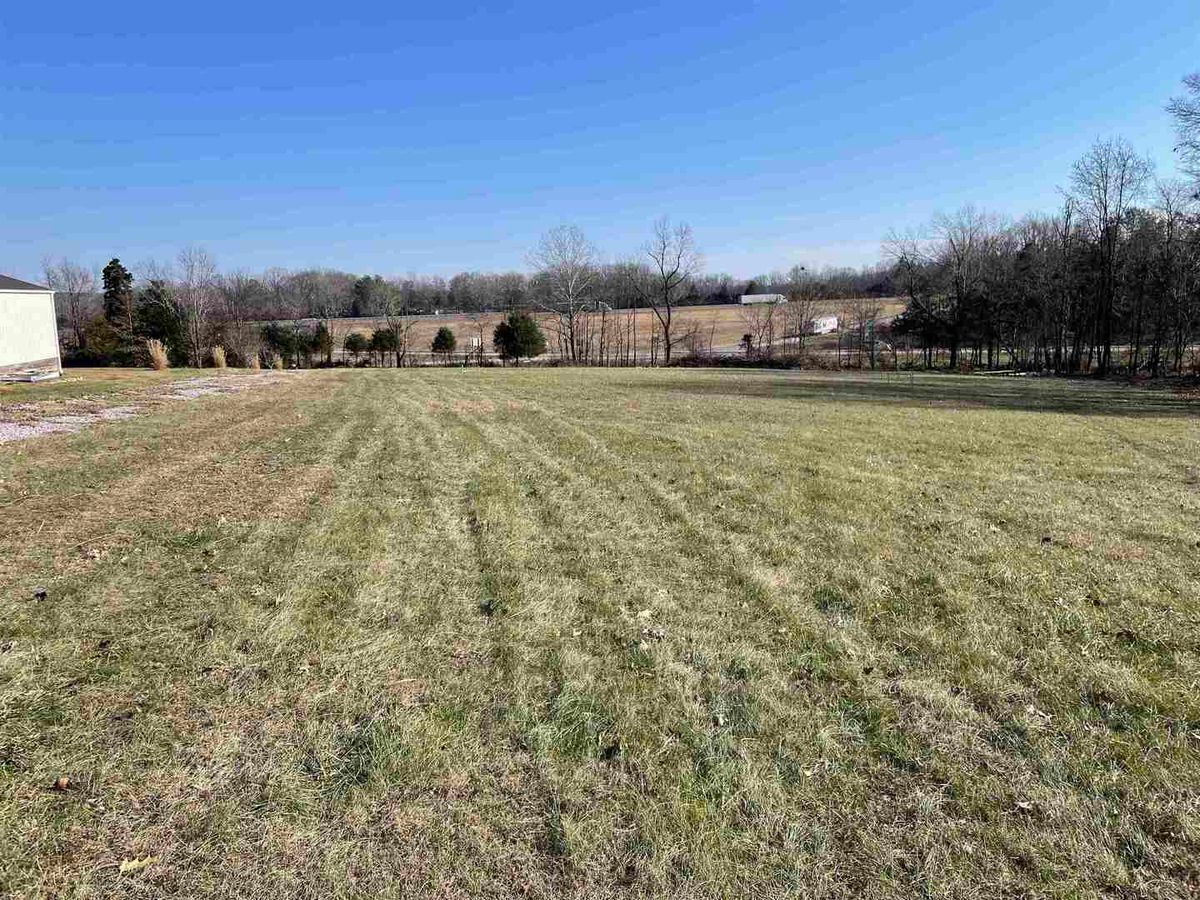 TBD Tulip Lane, Vienna, IL 62960