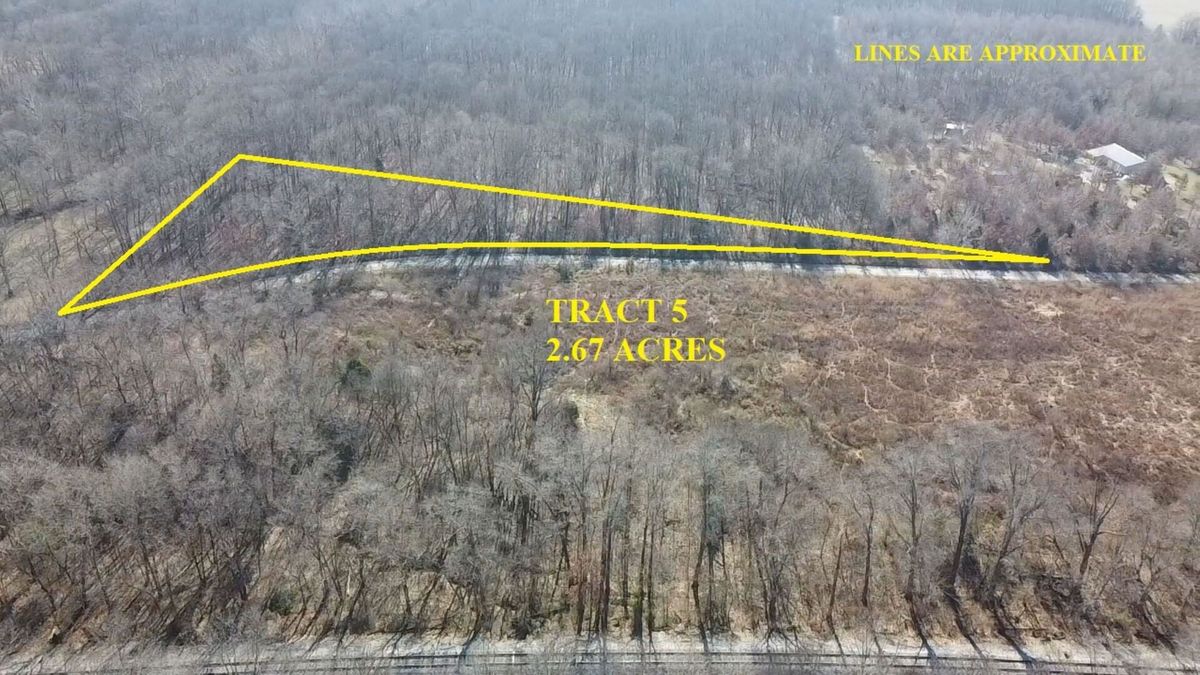 0 Mozart Road, Woodlawn, IL 62898