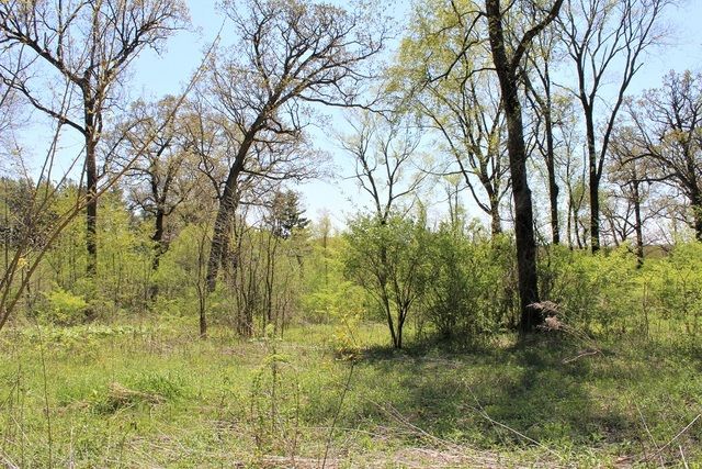 Lot 20 Masters Drive — Morrison, IL 61270