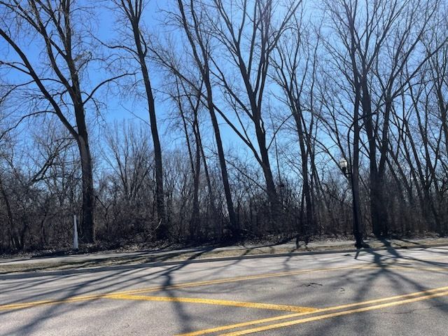 003 South Street, Elgin, IL 60124