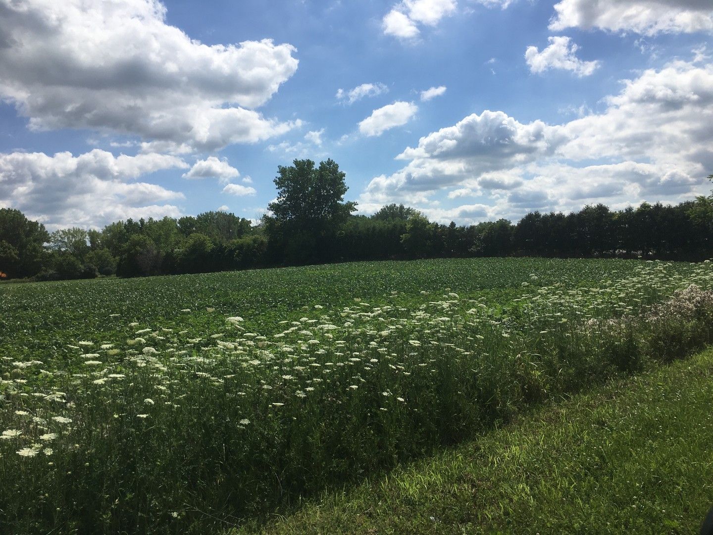 Lot 1 Koppie Road — Gilberts, IL 60136
