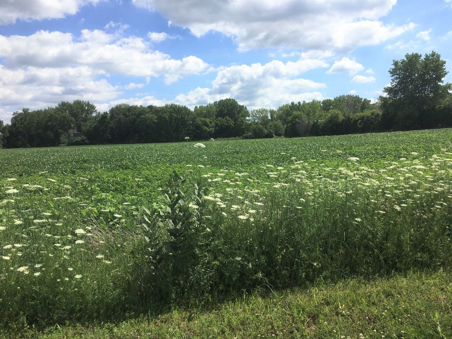 Lot 1A Koppie Road — Gilberts, IL 60136