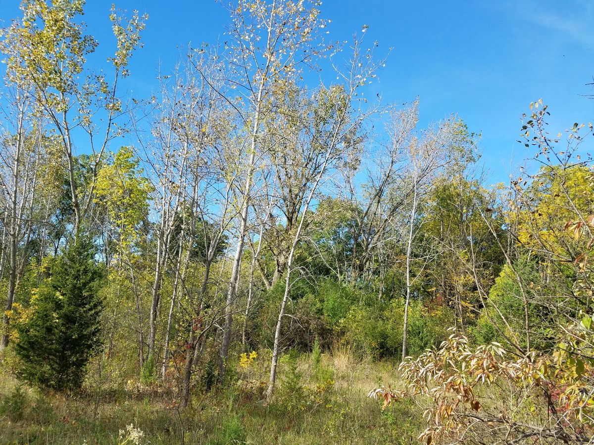 0 State Street, Lockport, IL 60441