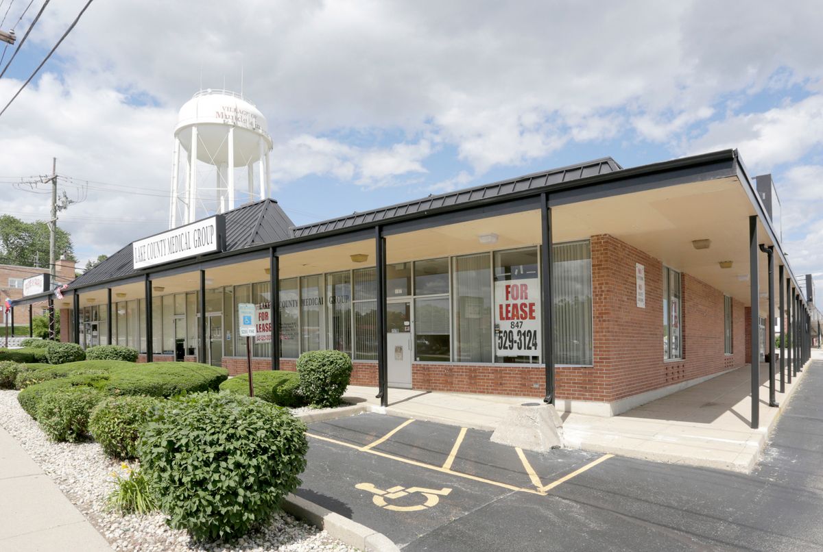 155 Seymour Avenue, Mundelein, IL 60060