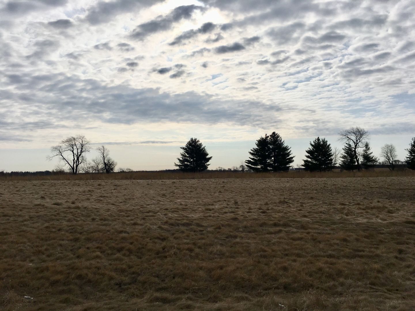 Lot #48 E LONGWOOD Drive — Woodstock, IL 60098
