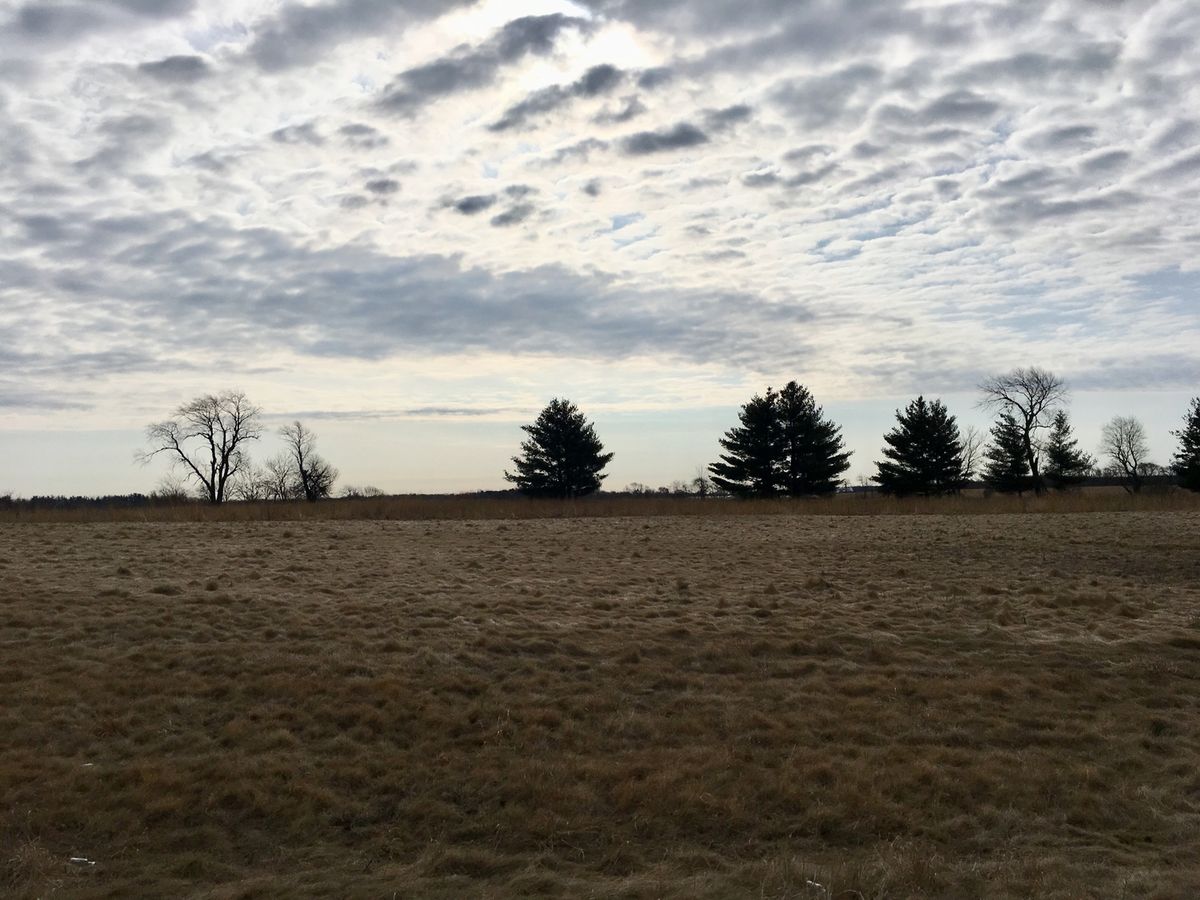 Lot #48 LONGWOOD Drive, Woodstock, IL 60098
