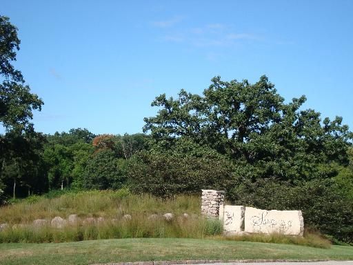 Lot #44 E LONGWOOD Drive — Woodstock, IL 60098