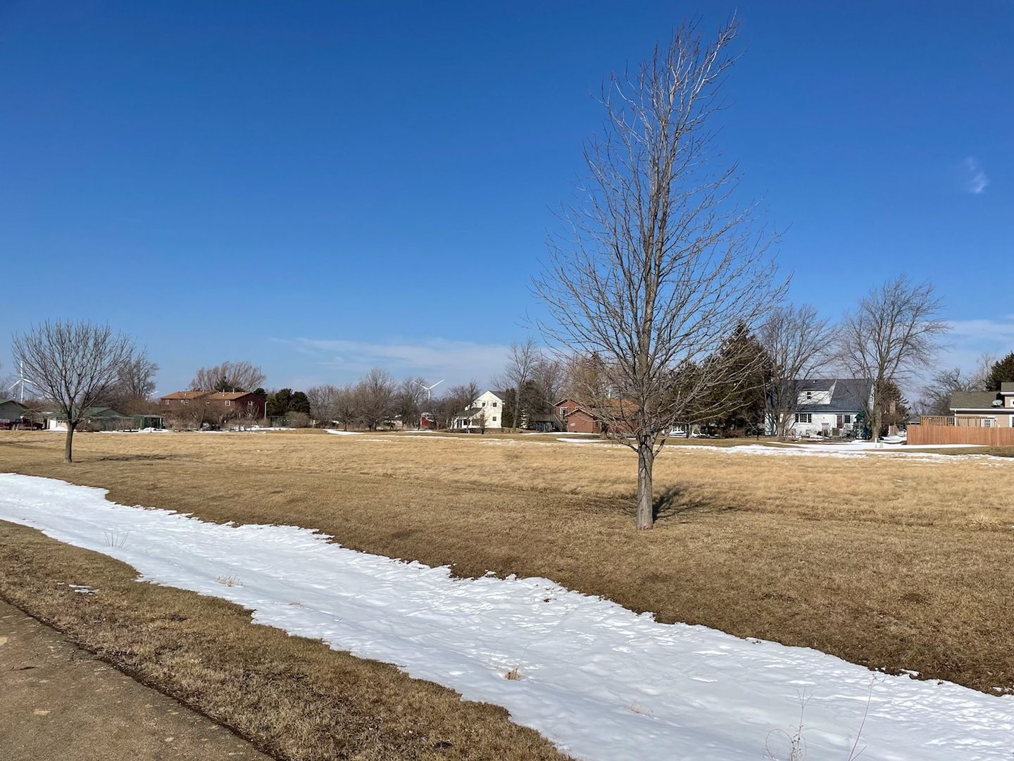 160 Prairie Turn — Cabery, IL 60919