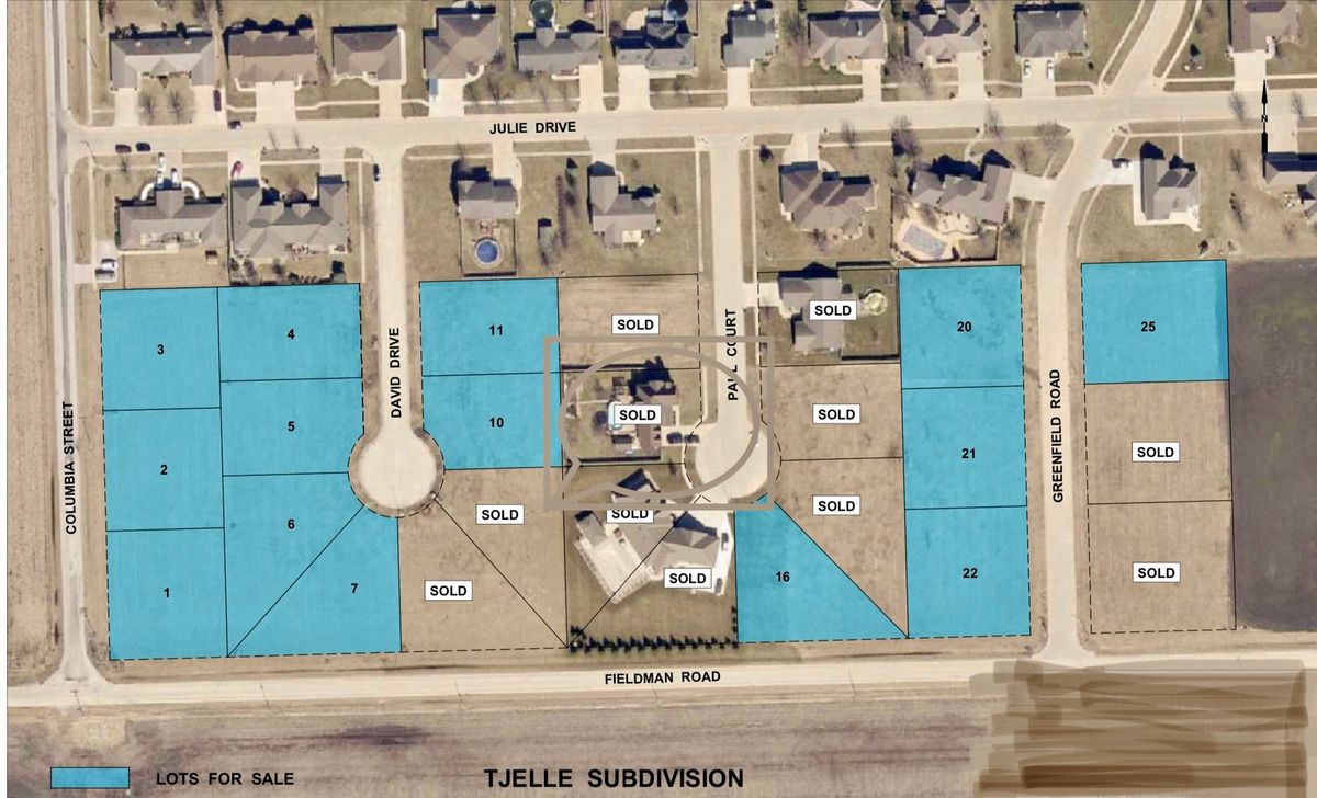 1404 David Drive, Dwight, IL 60420