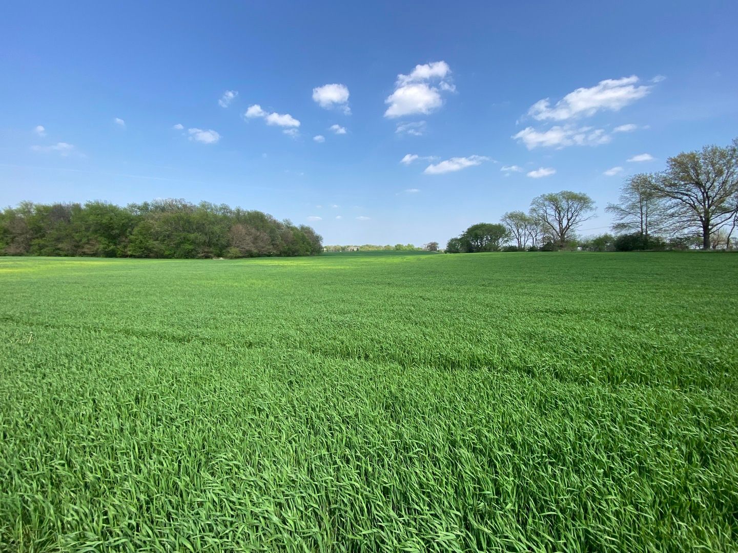 0000 Higgins Road — Hampshire, IL 60140
