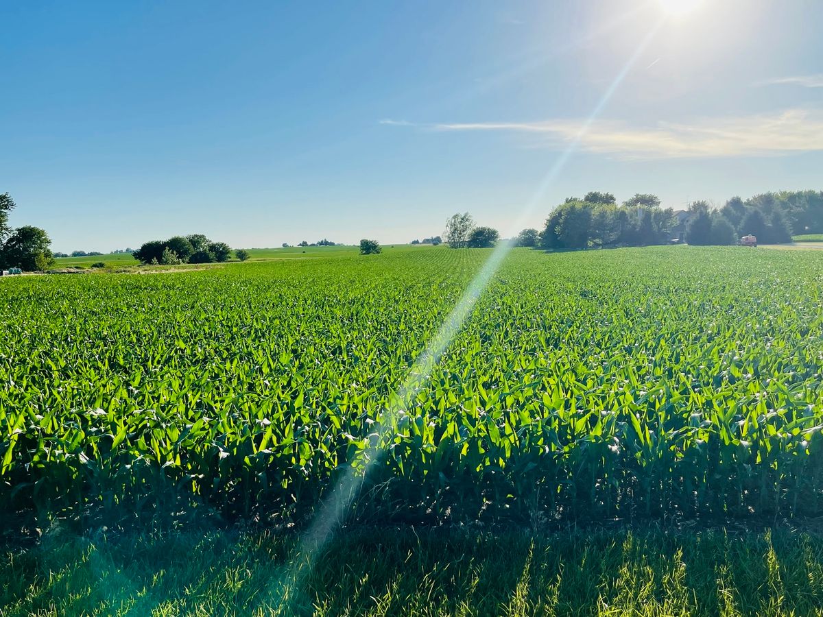 00 8th Road, Utica, IL 61373