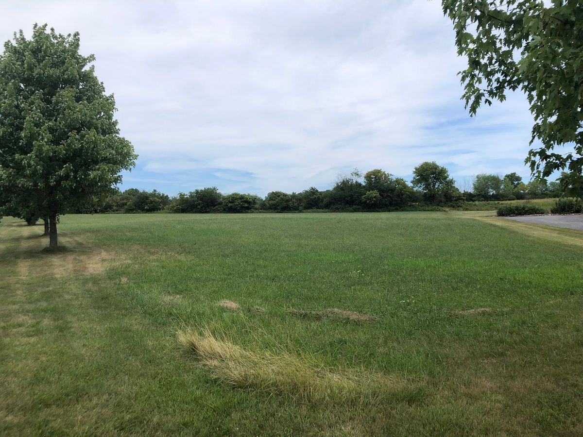 40417 Belle Foret Drive, Wadsworth, IL 60083