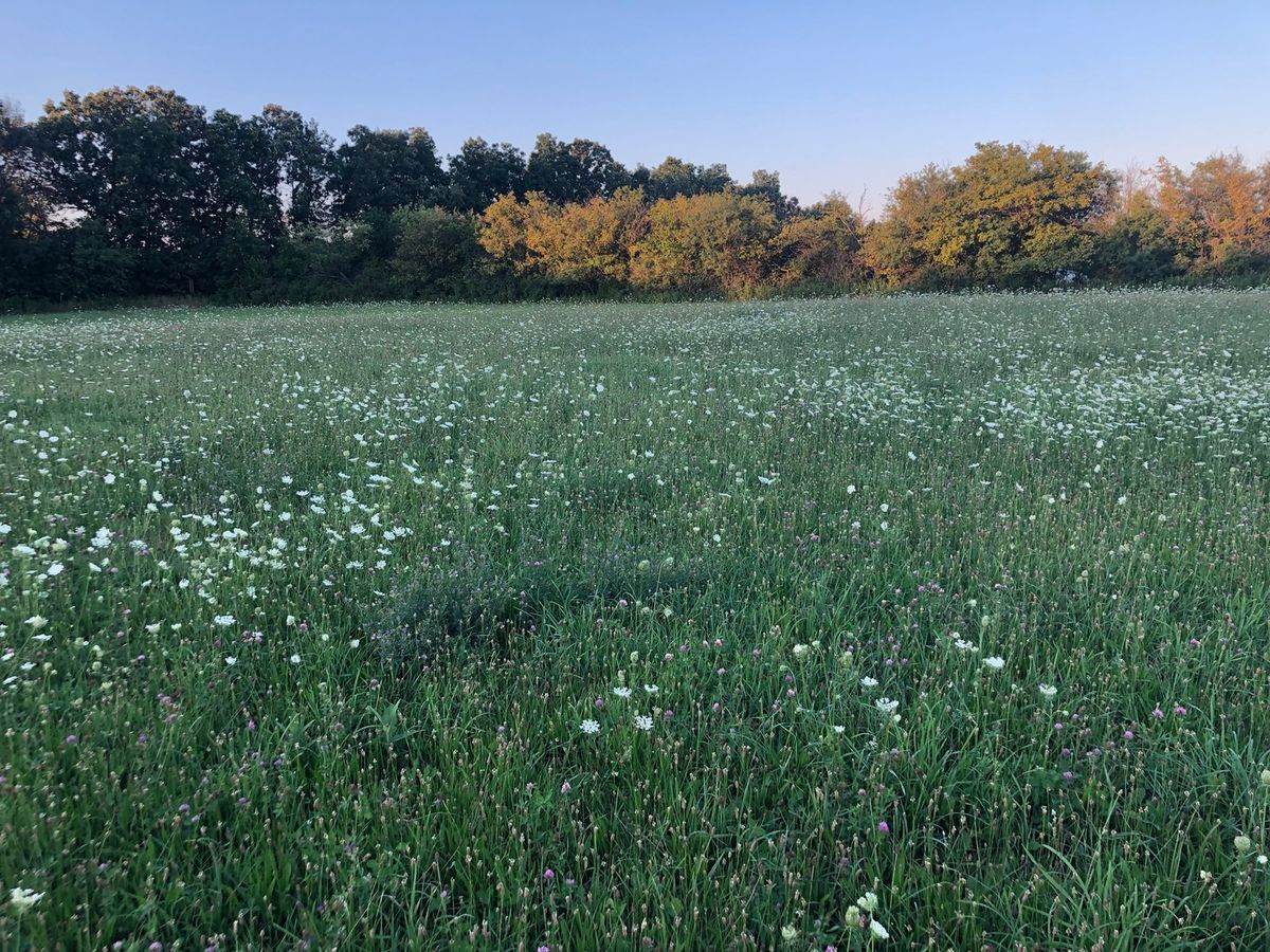 40369 Belle Foret Drive, Wadsworth, IL 60083