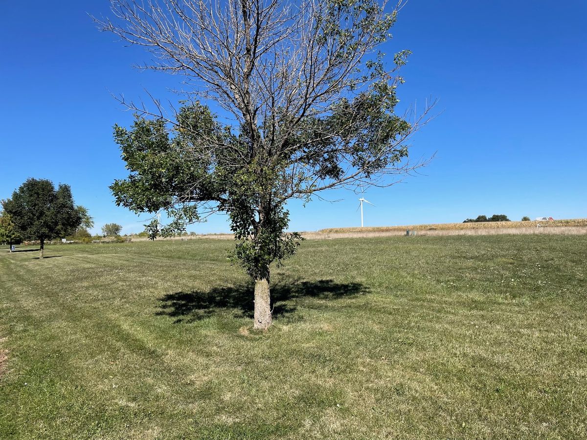 155 Sun Street, Cabery, IL 60919