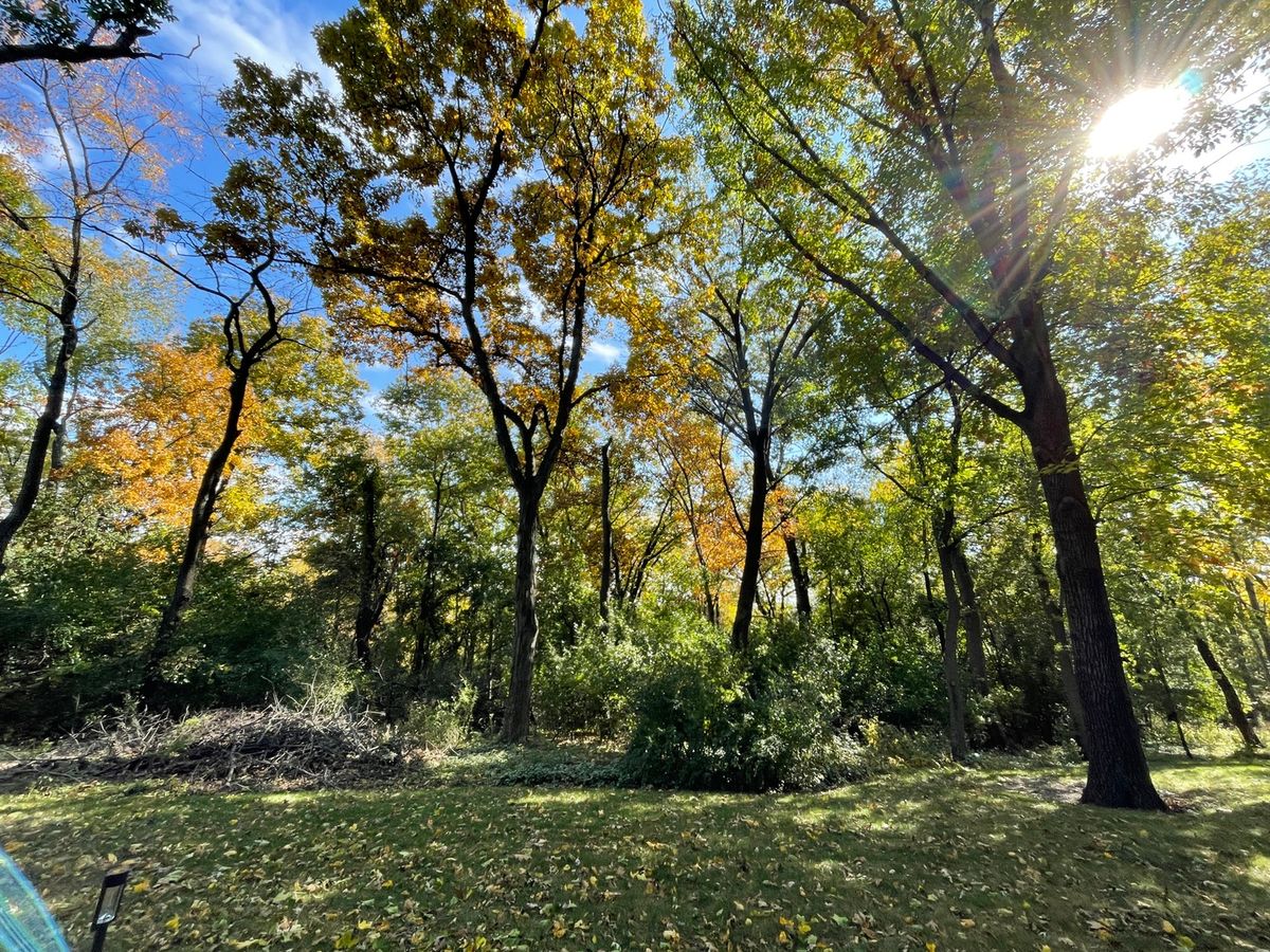 26767 Lakeview Drive, Lake Barrington, IL 60010