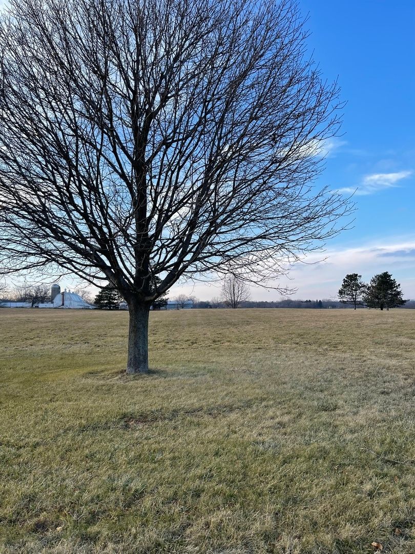 17408 Wildflower Circle — Union, IL 60180