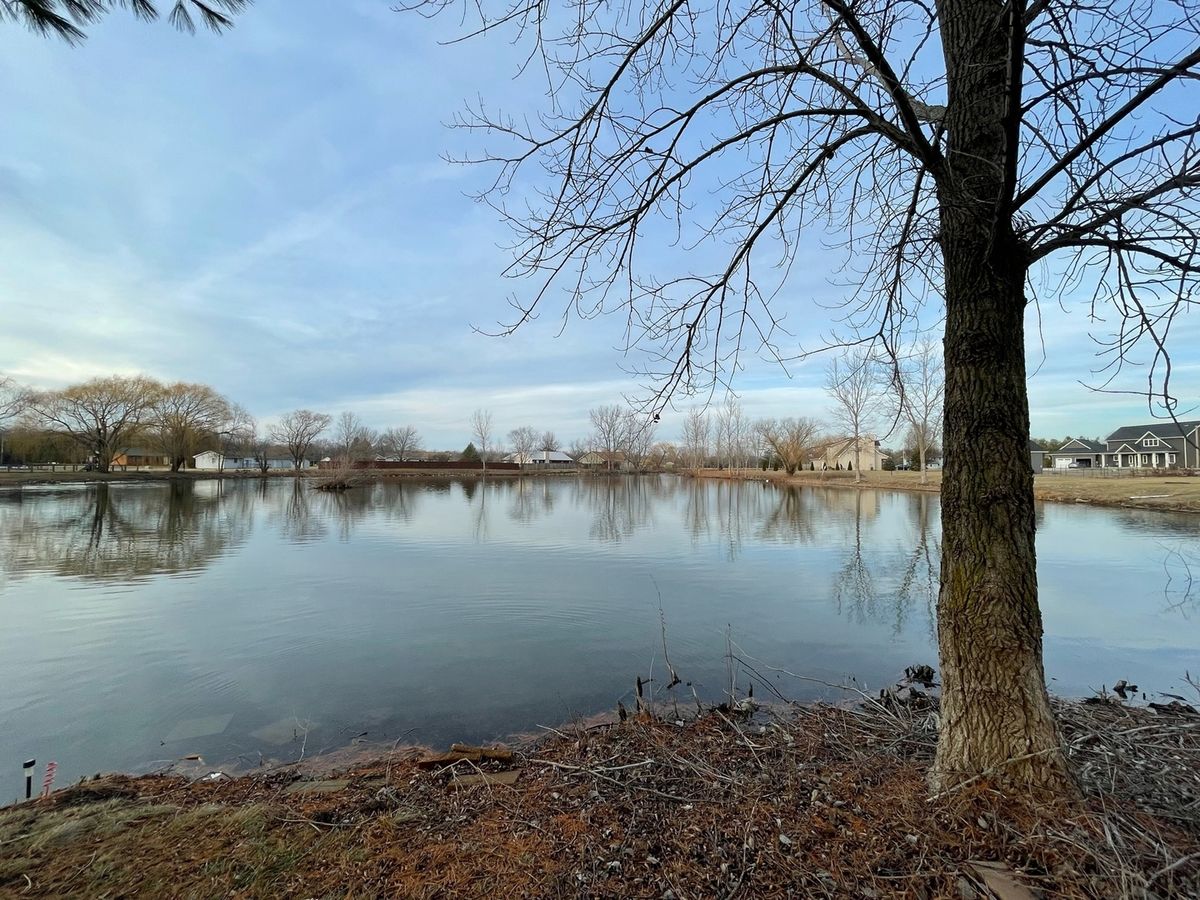 31 Nightingale Circle, Camargo, IL 61919