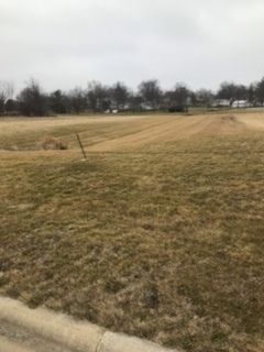 12 Boulder Drive, Carlock, IL 61725