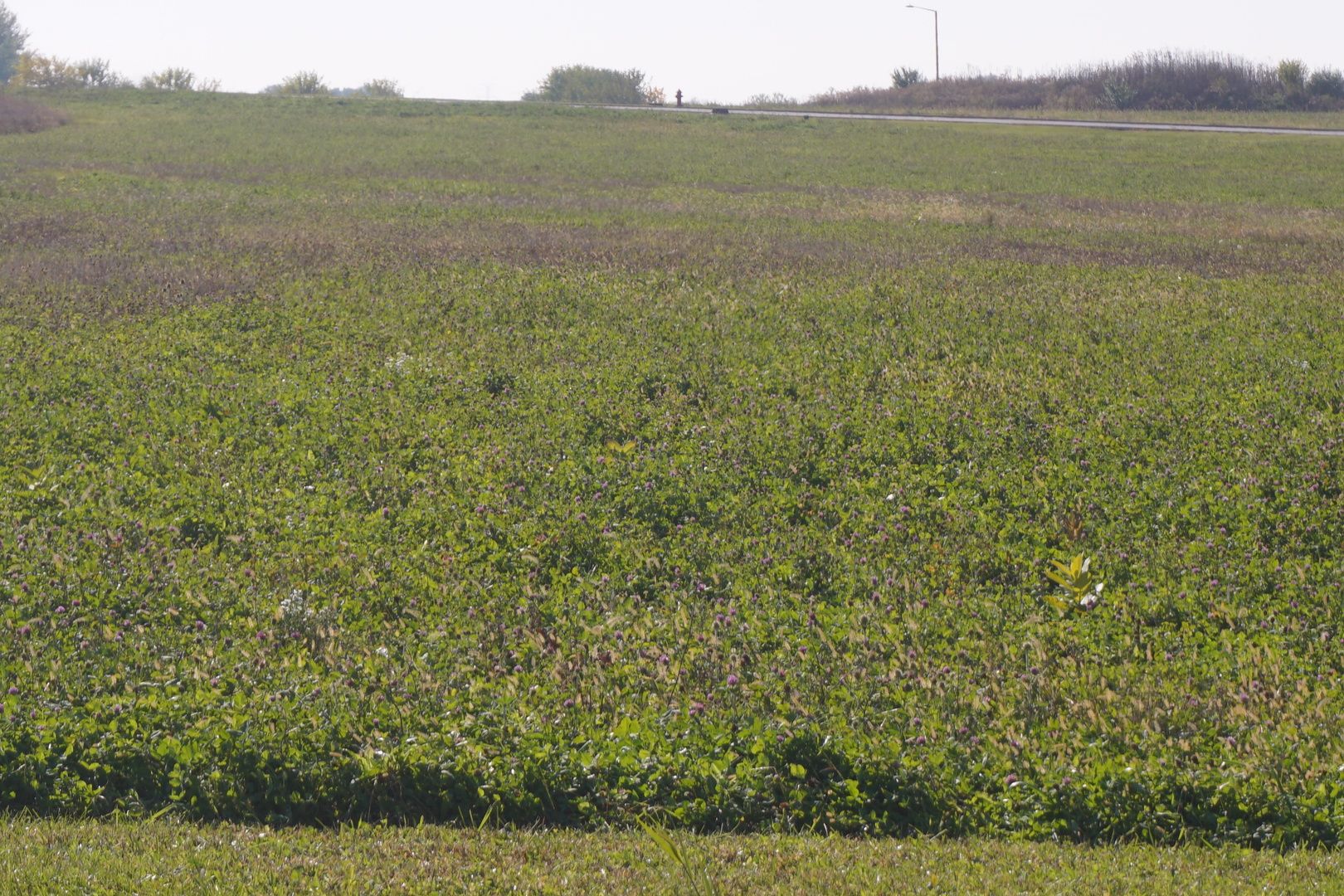 Lot5 S Rt 52 Road — Manhattan, IL 60442