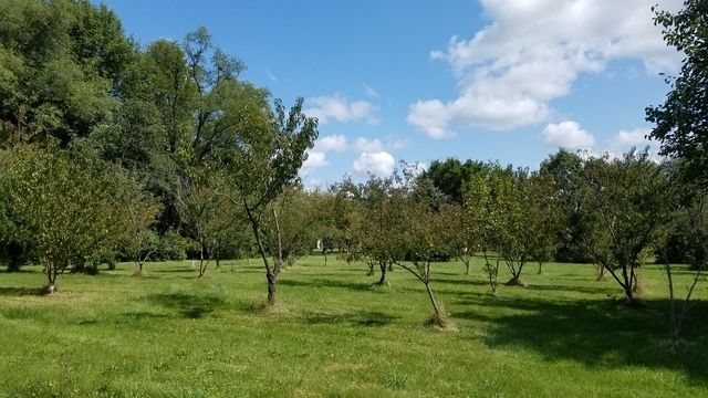 5548 W Heatherbrook Trail — Monee, IL 60449