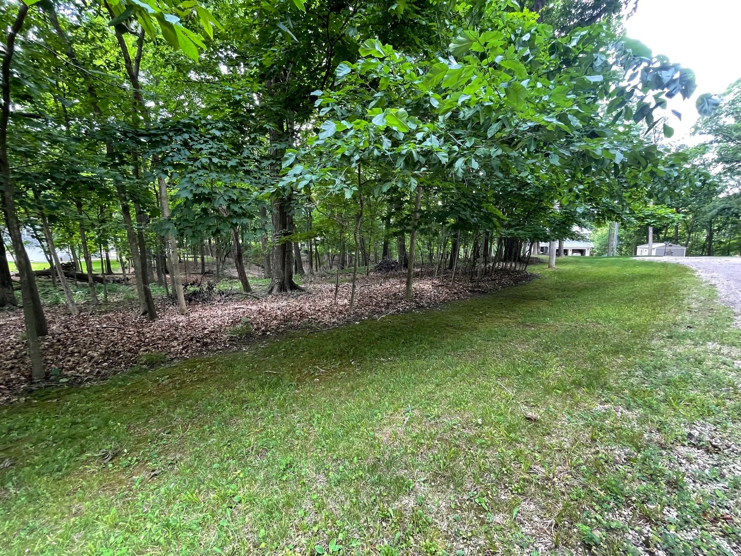 1105 Jay Court — Varna, IL 61375