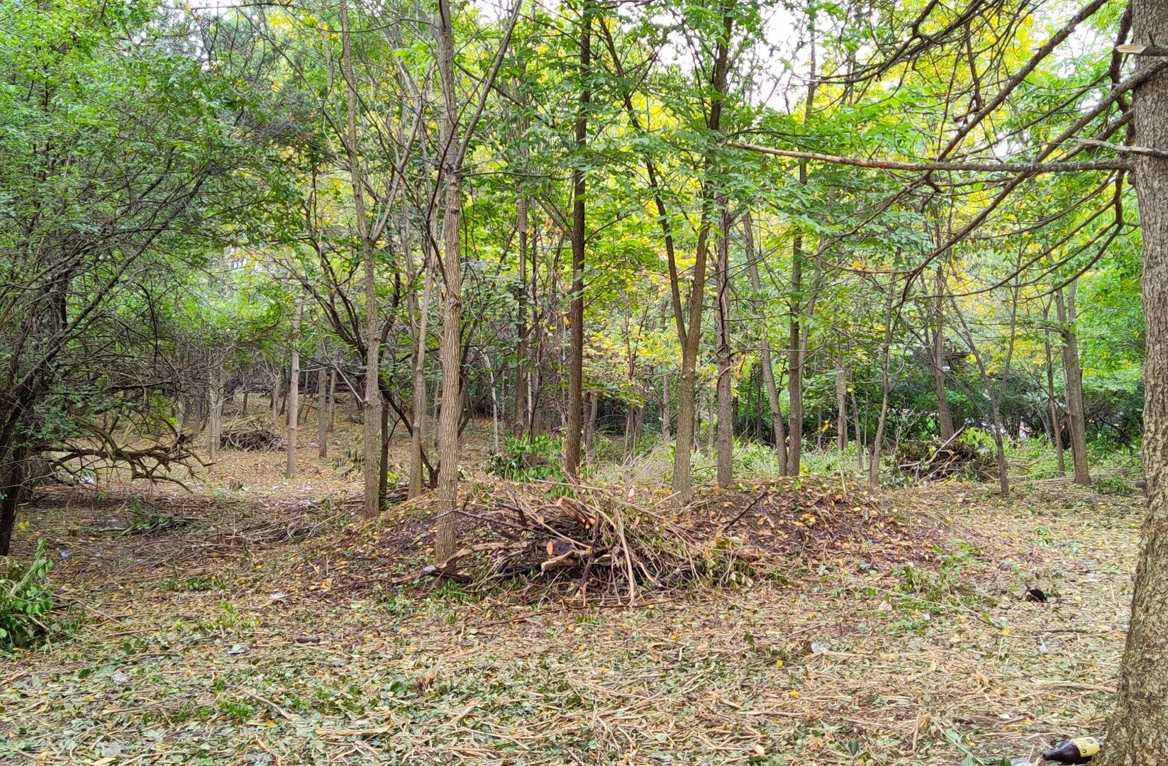 11 Rohrssen Lot 4 Road — Elgin, IL 60120