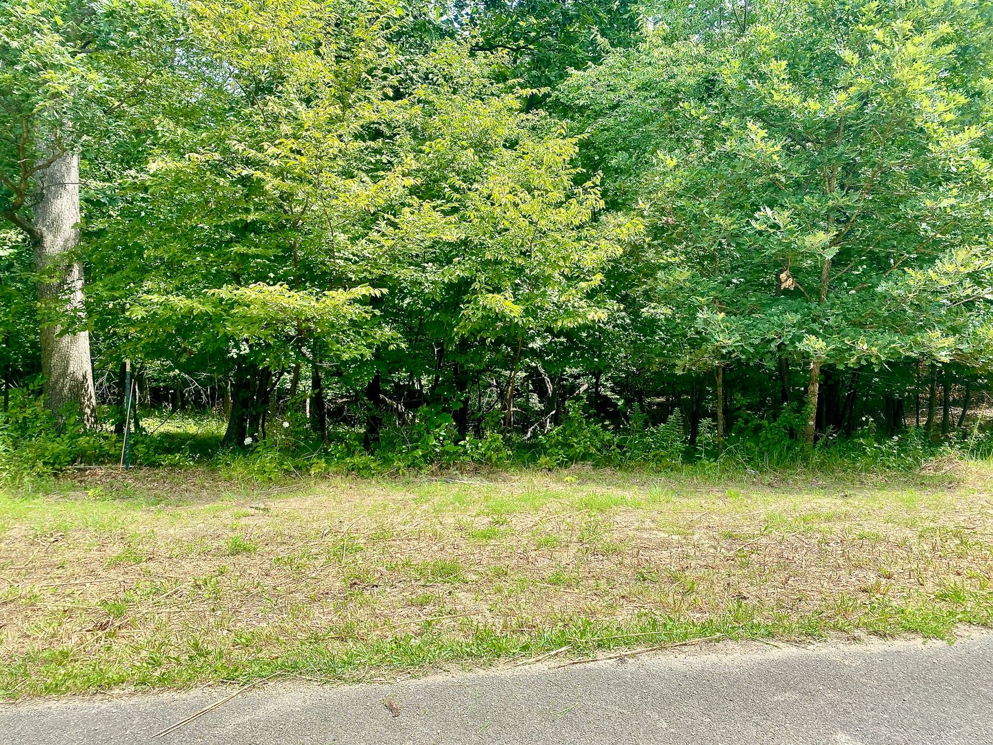 Lot 55 Eagle Chase Drive — Seneca, IL 61360