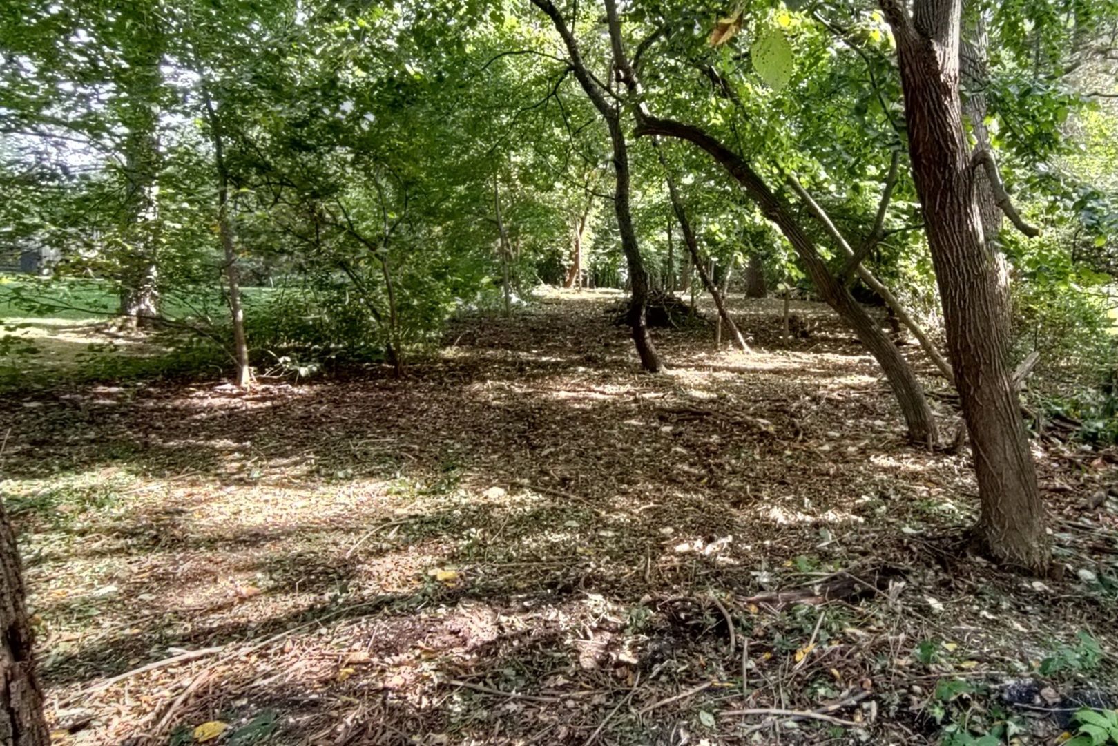 11 Rohrssen Lot 5 Road — Elgin, IL 60120