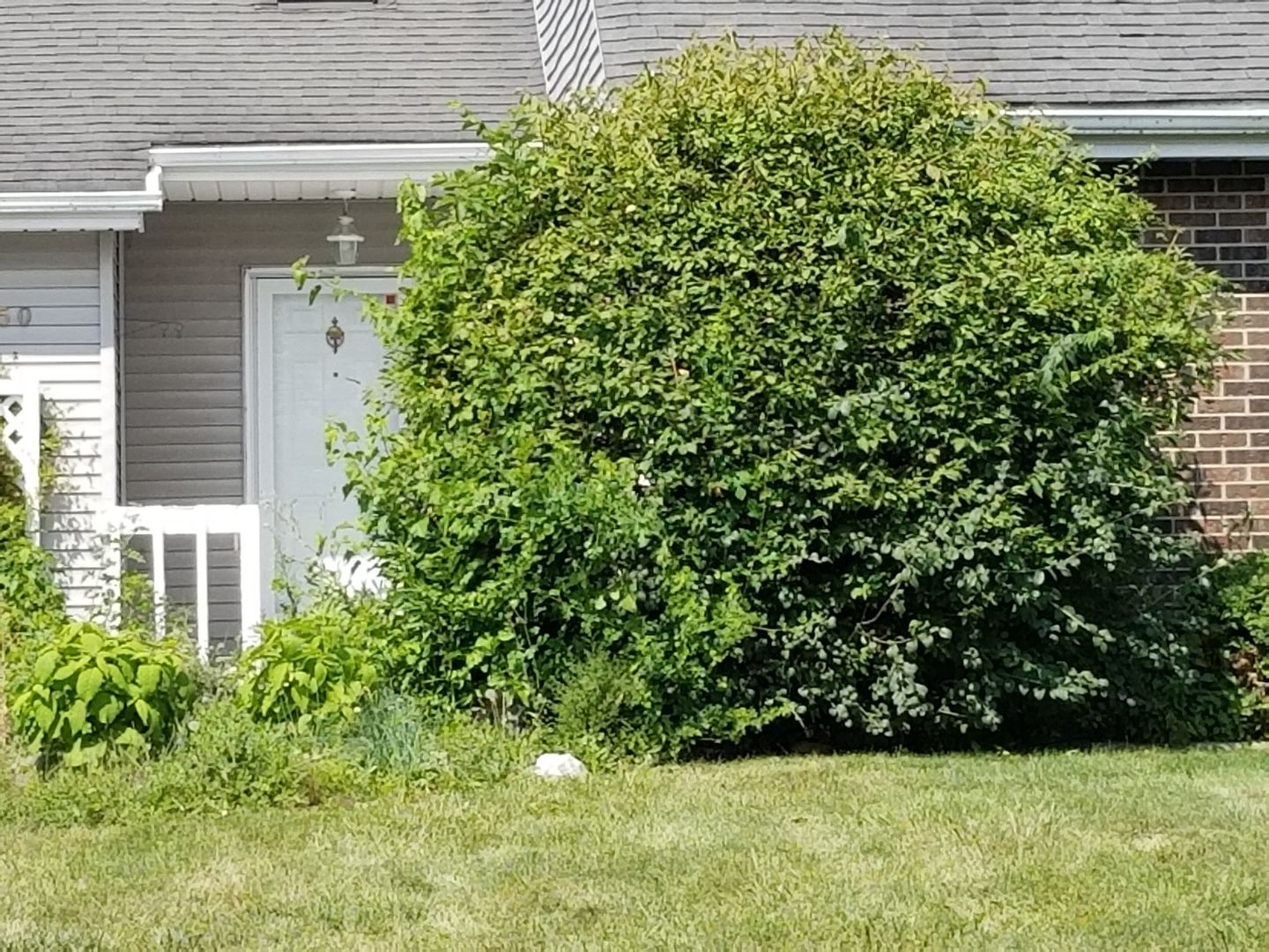 450 Tanglewood Drive — Gurnee, IL 60031
