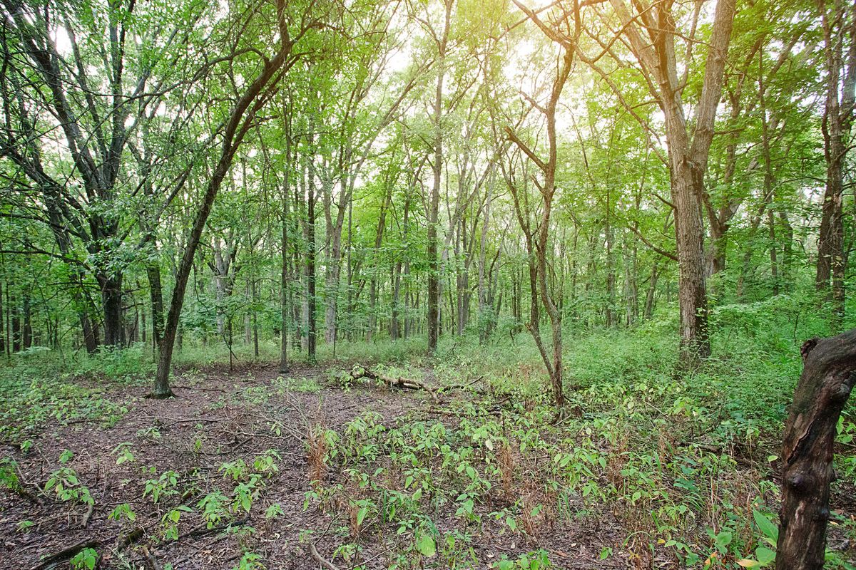 4351 Willard Lane, Lowell, IN 46356