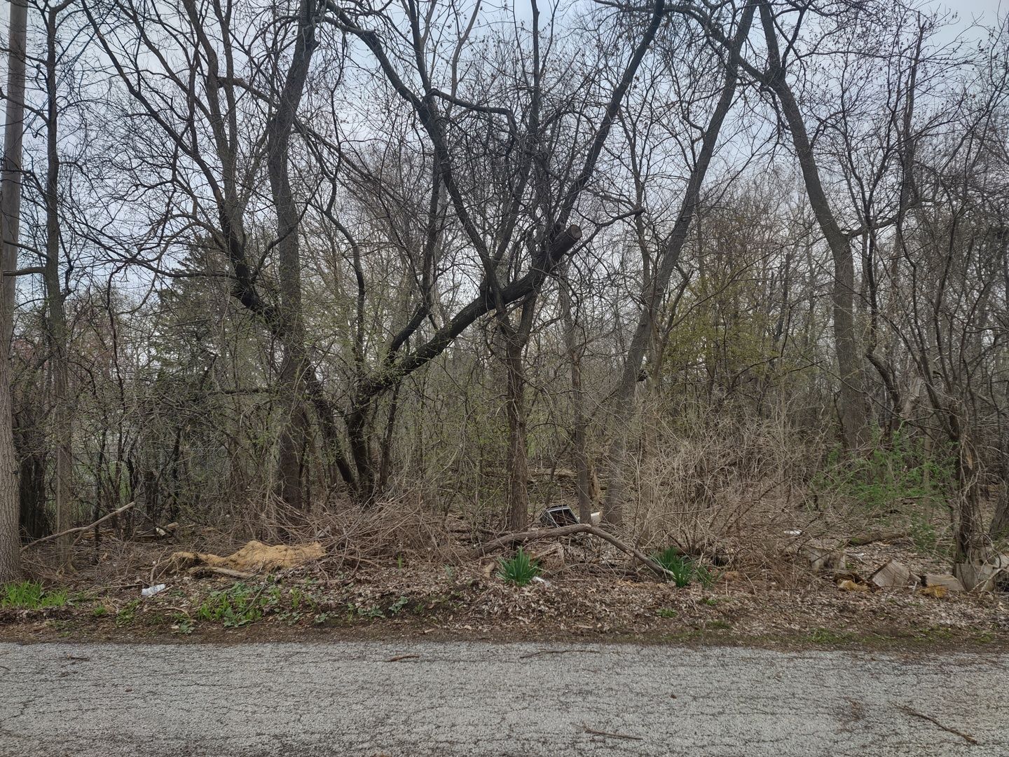 40540 N Minena Street — Antioch, IL 60002