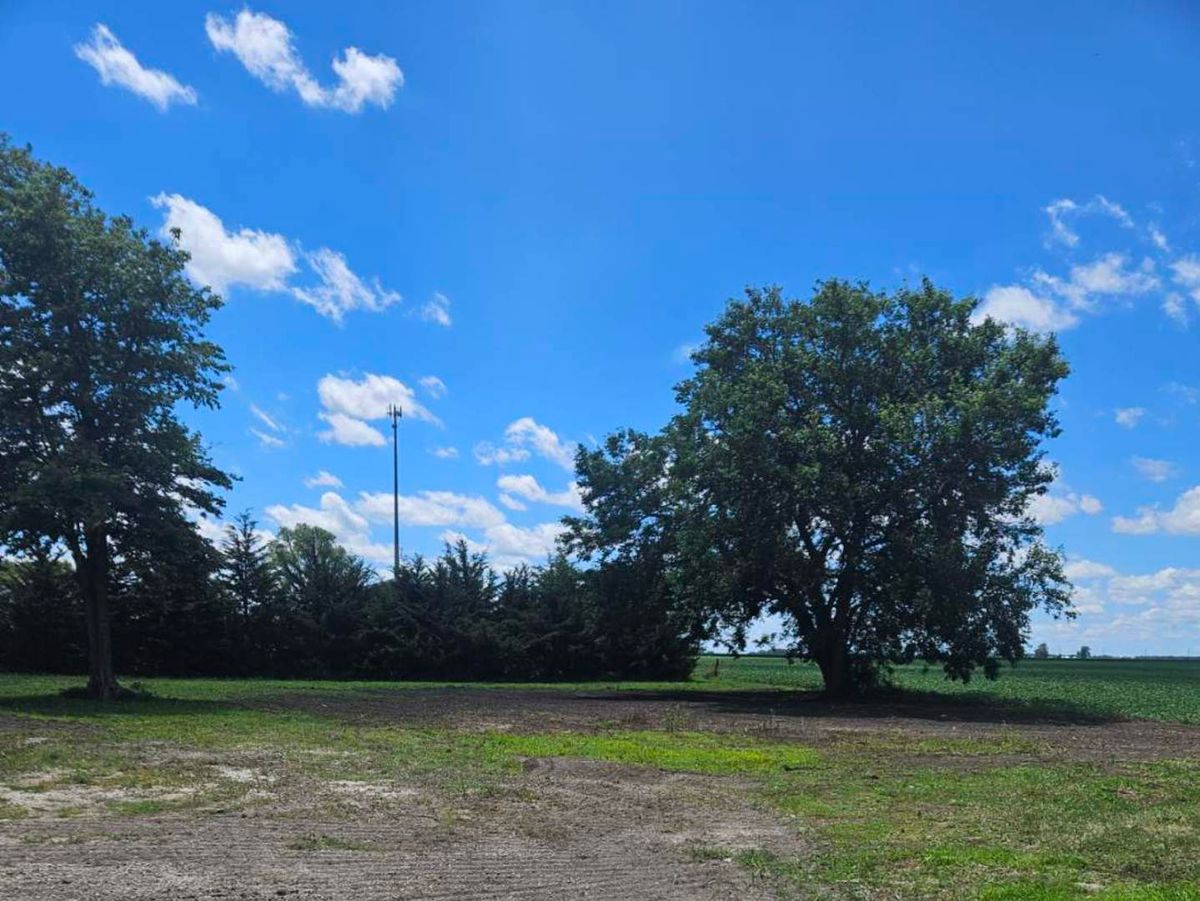 101 S Route 49, Crescent City, IL 60928
