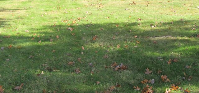 6403 County Line Road, Burr Ridge, IL 60527