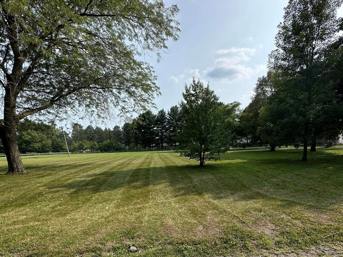 217 N Parls Street, Essex, IL 60935
