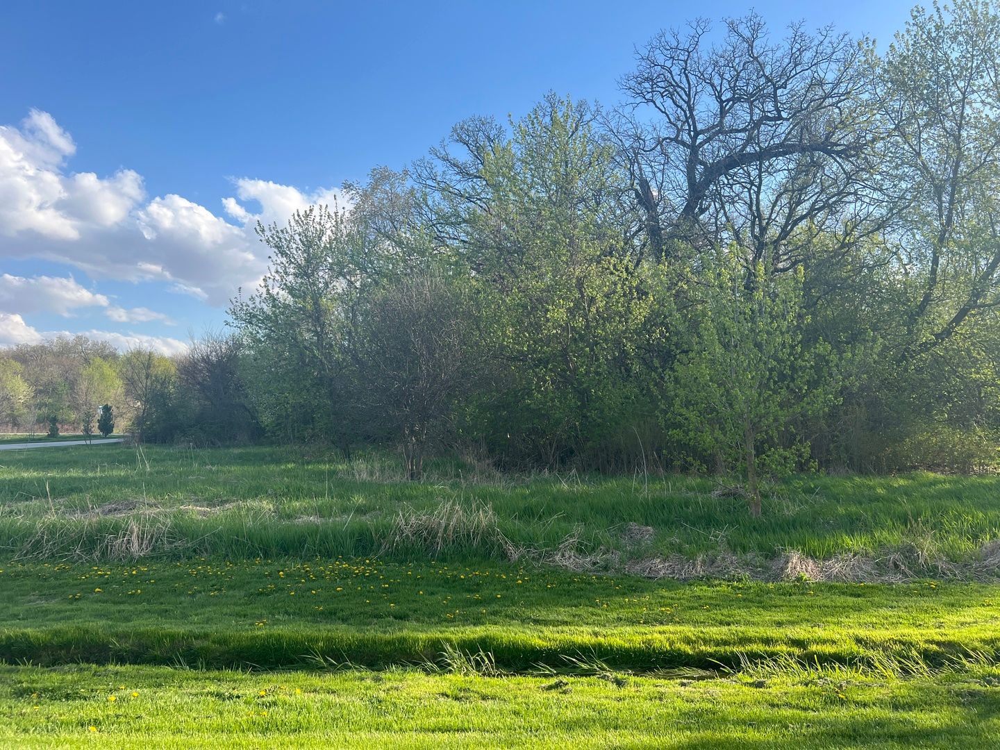 10909 Pebble Drive — Huntley, IL 60142