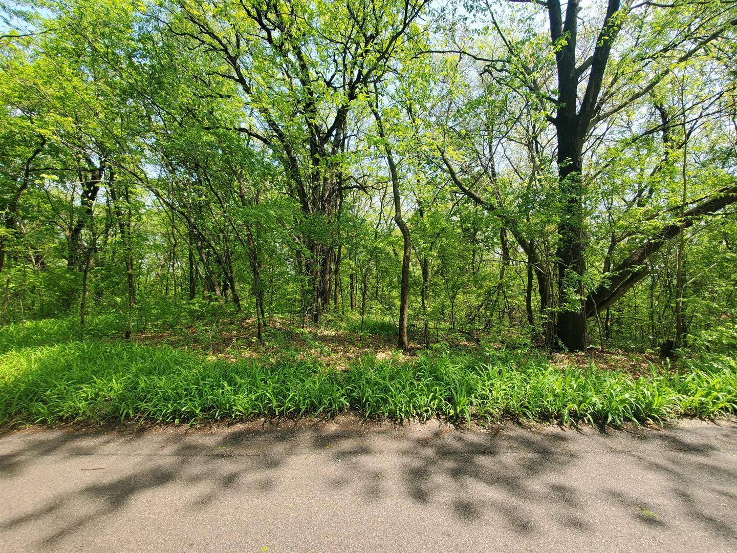 39091 N Mound Avenue — Spring Grove, IL 60081
