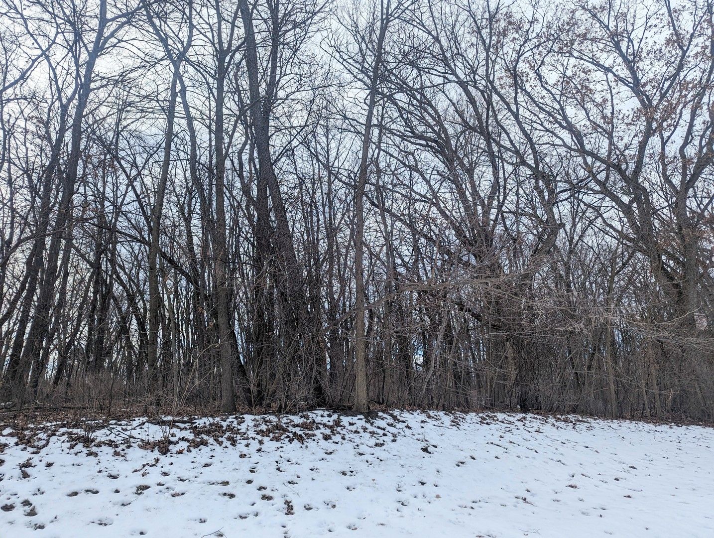 1711 Cedar Lane — Spring Grove, IL 60081