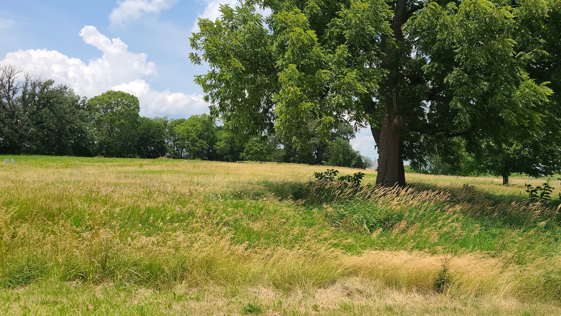 0 Rockside Drive — Dixon, IL 61021
