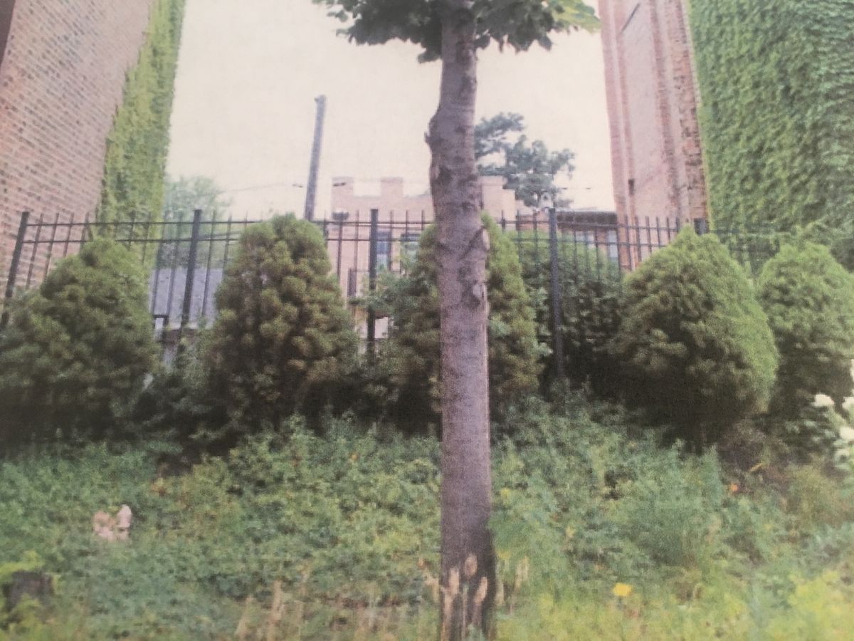 6321 Ingleside Avenue, Chicago, IL 60637