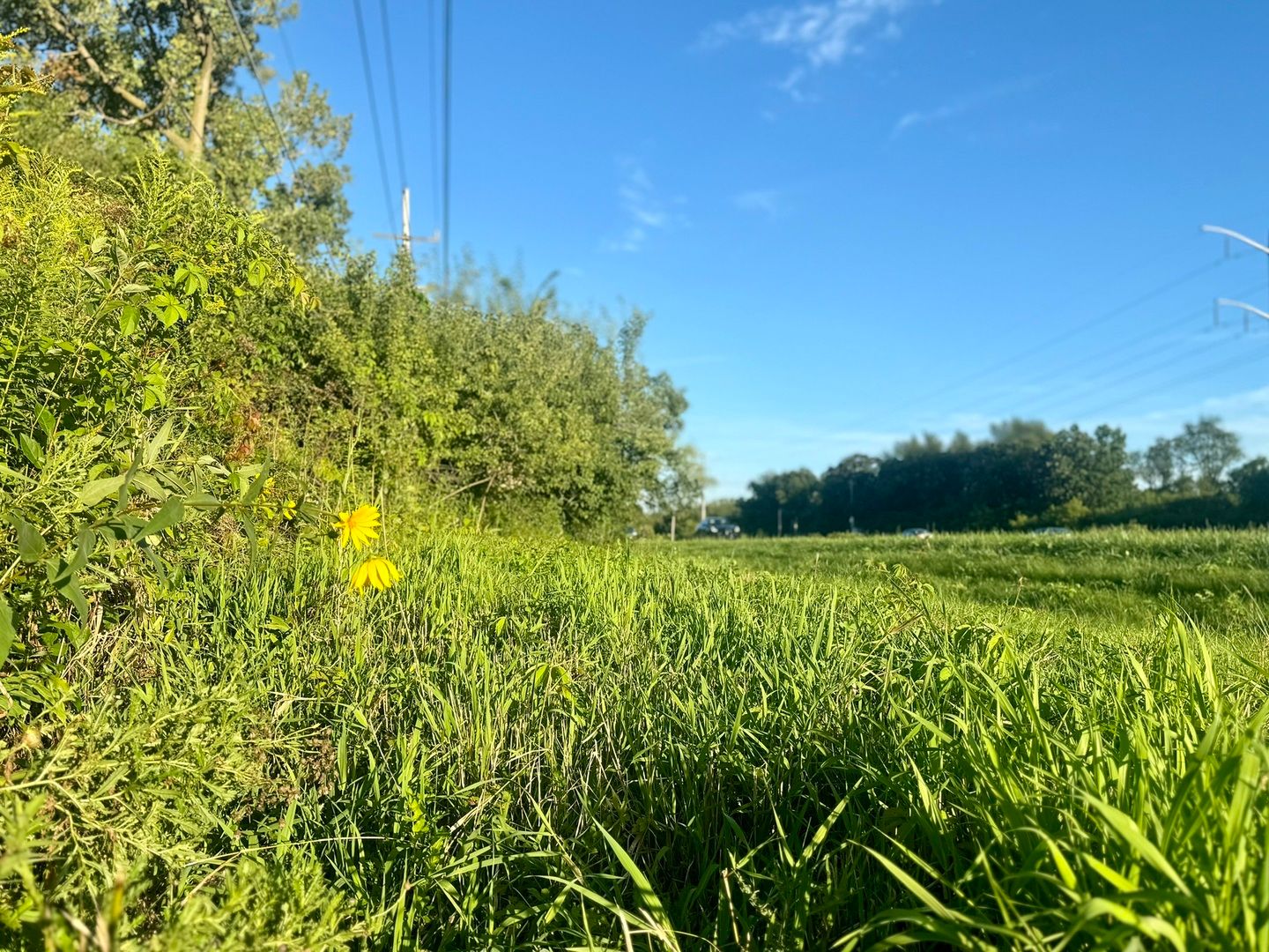 27470 W Northwest Highway — Barrington, IL 60010