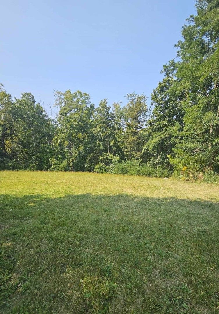 433 WOODLAND Trail — Lindenhurst, IL 60046