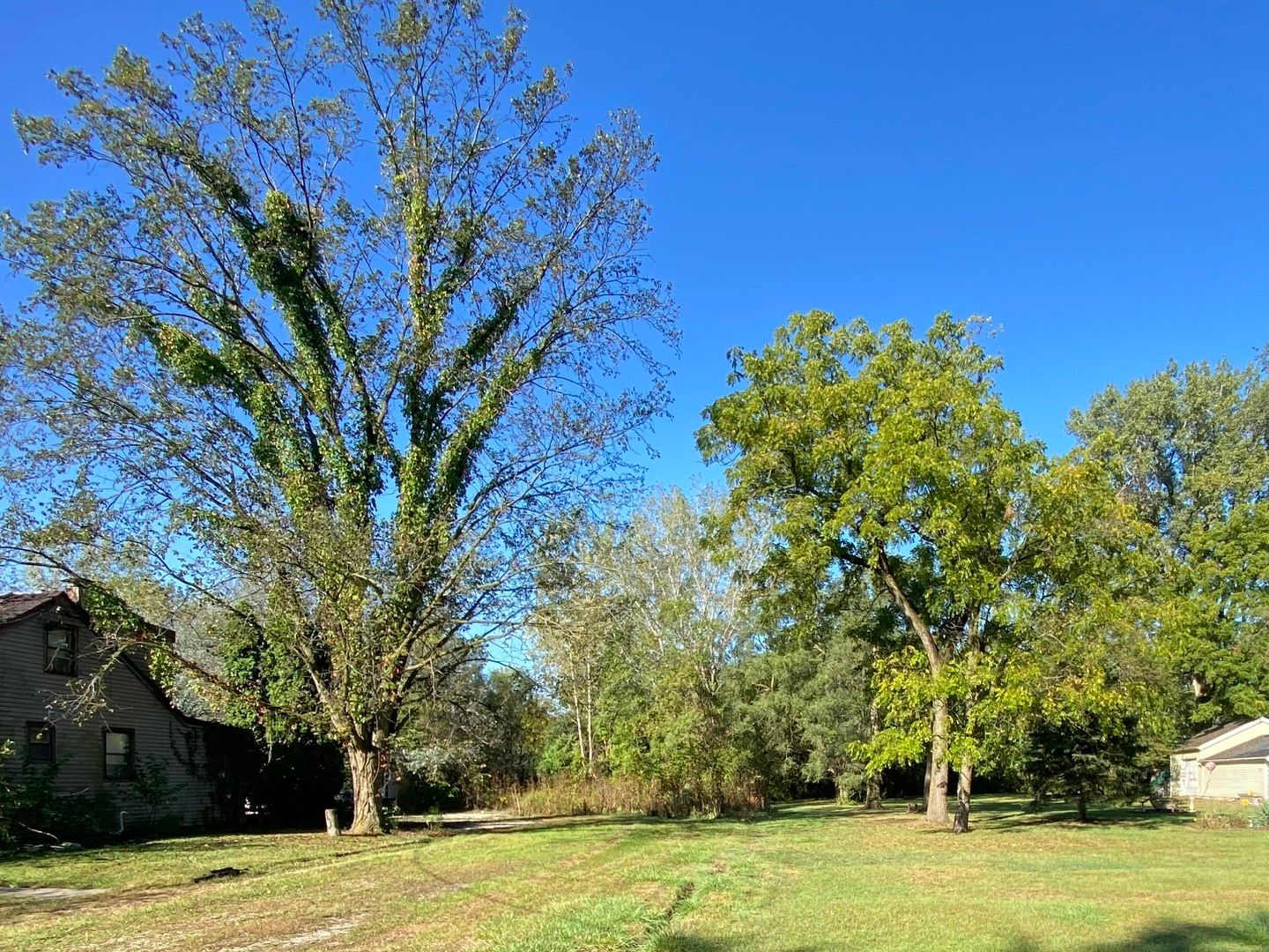 00 LOT 180th Street — Tinley Park, IL 60477