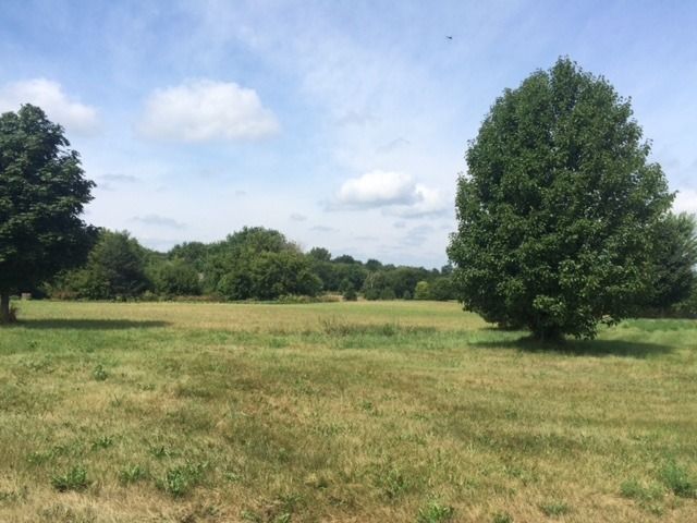 2910 Rolling Oaks Road — Spring Grove, IL 60081