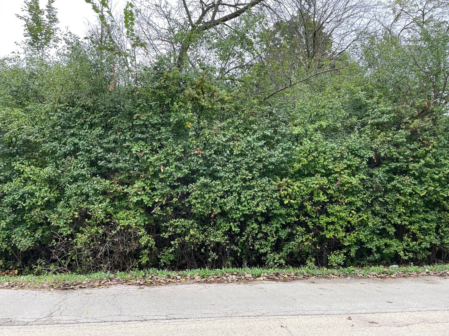 000 Redbud Drive — Joliet, IL 60433