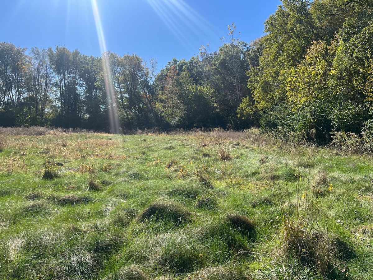 211 Norfolk Way, Essex, IL 60935