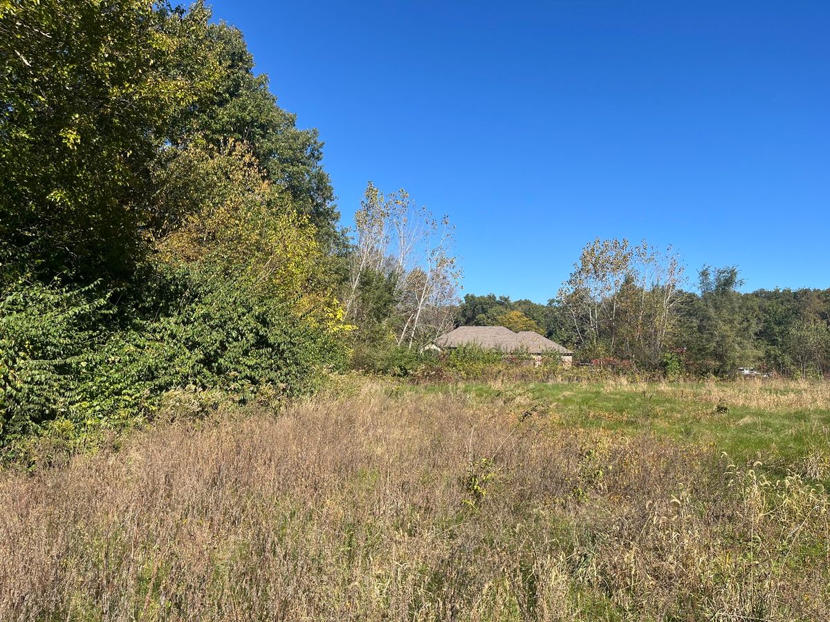 211 Norfolk Way, Essex, IL 60935