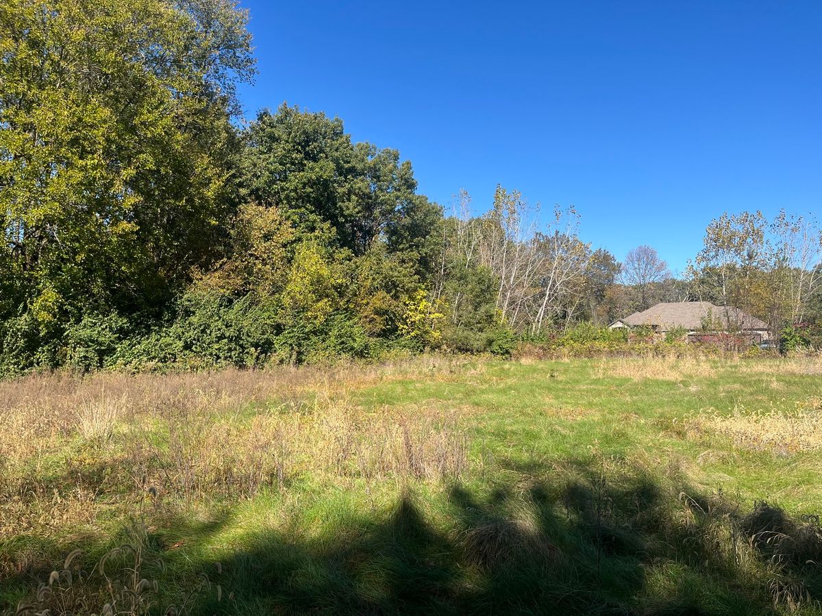 211 Norfolk Way, Essex, IL 60935