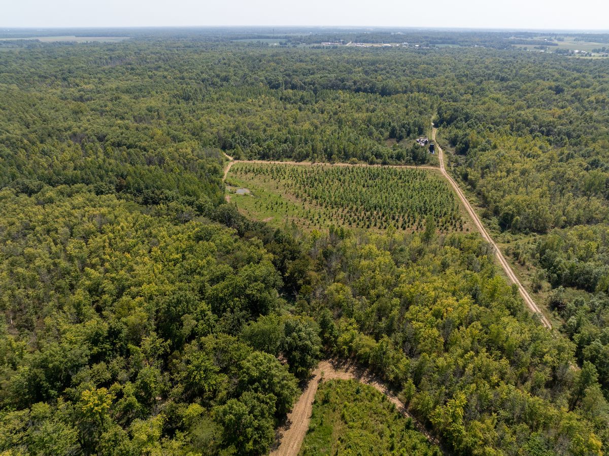 Tract 1 Mint Lane, Clay City, IL 62824