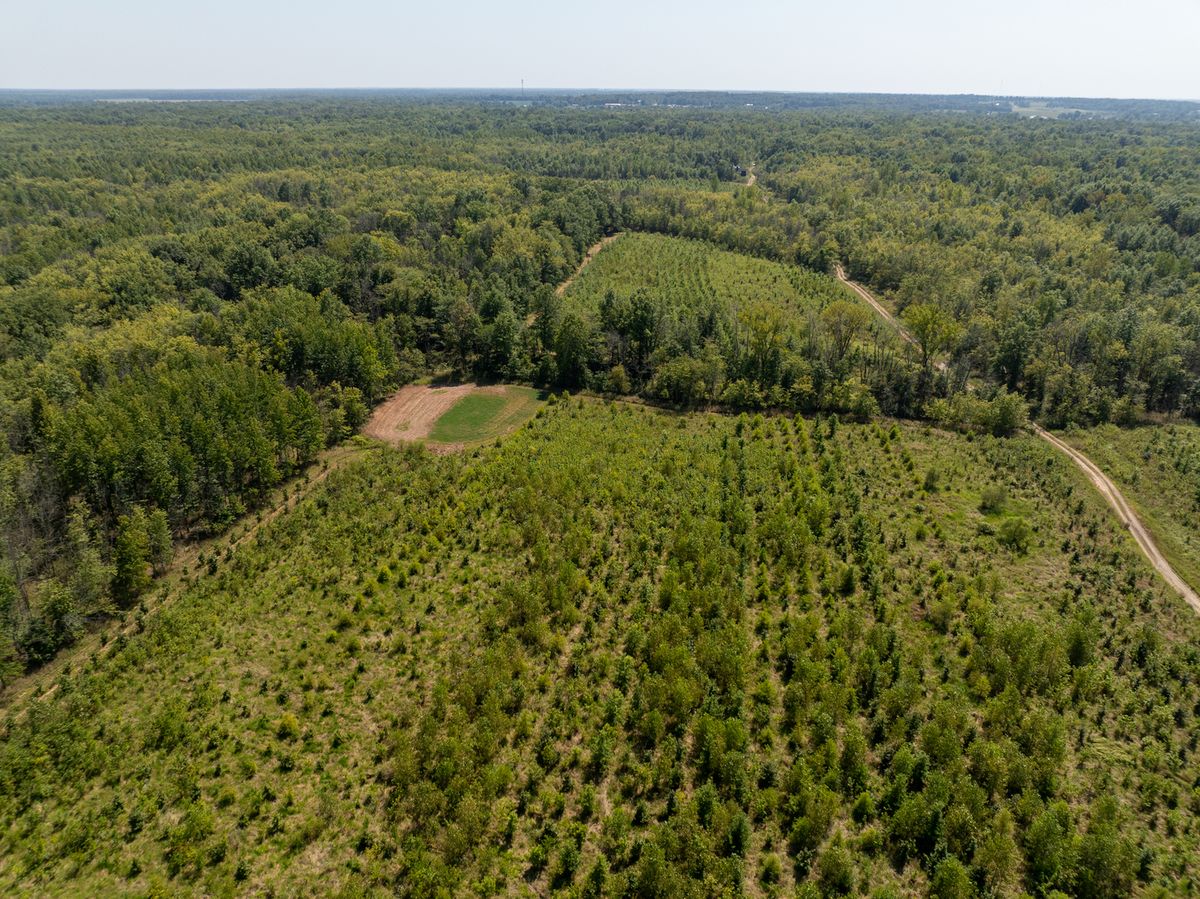 Tract 1 Mint Lane, Clay City, IL 62824